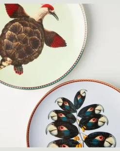 Deko-Schale Turtlair Multicolor