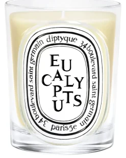 Duftkerze Eucalyptus 190 g