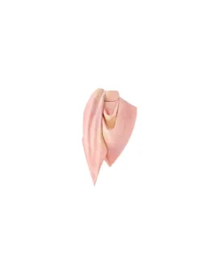 Flower Brush Shine Tuch Pink