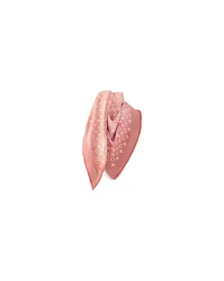 Flower Brush Shine Tuch Pink