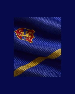 Gestreifte Clubfliege aus Seide Blue