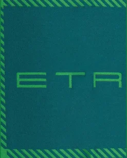 Karierte Decke mit Logo - Grün