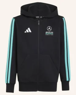 Mercedes - Amg Petronas Formula 1 Team Dna Kapuzenjacke schwarz