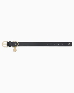 Poldo x Halsband aus Leder Marineblau