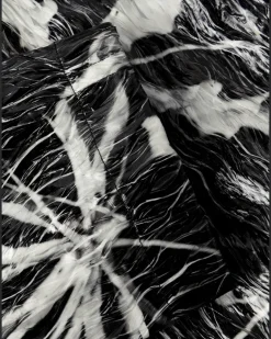 Printed Coated-Shell Trench Coat Black