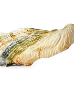 Schale in Muschelform - Nude