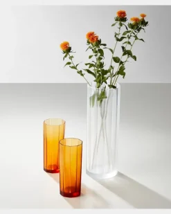Vase Dodeca Transparent